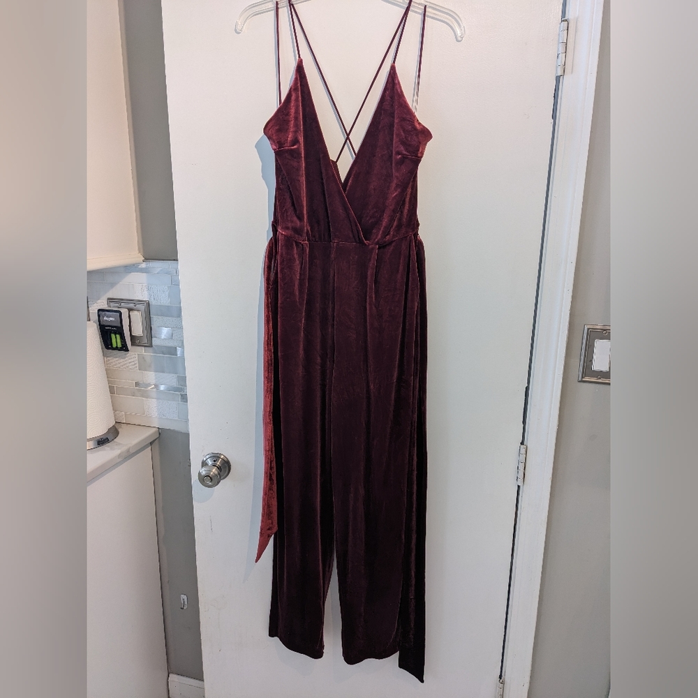 Express Velour Jumpsuit, Size 10